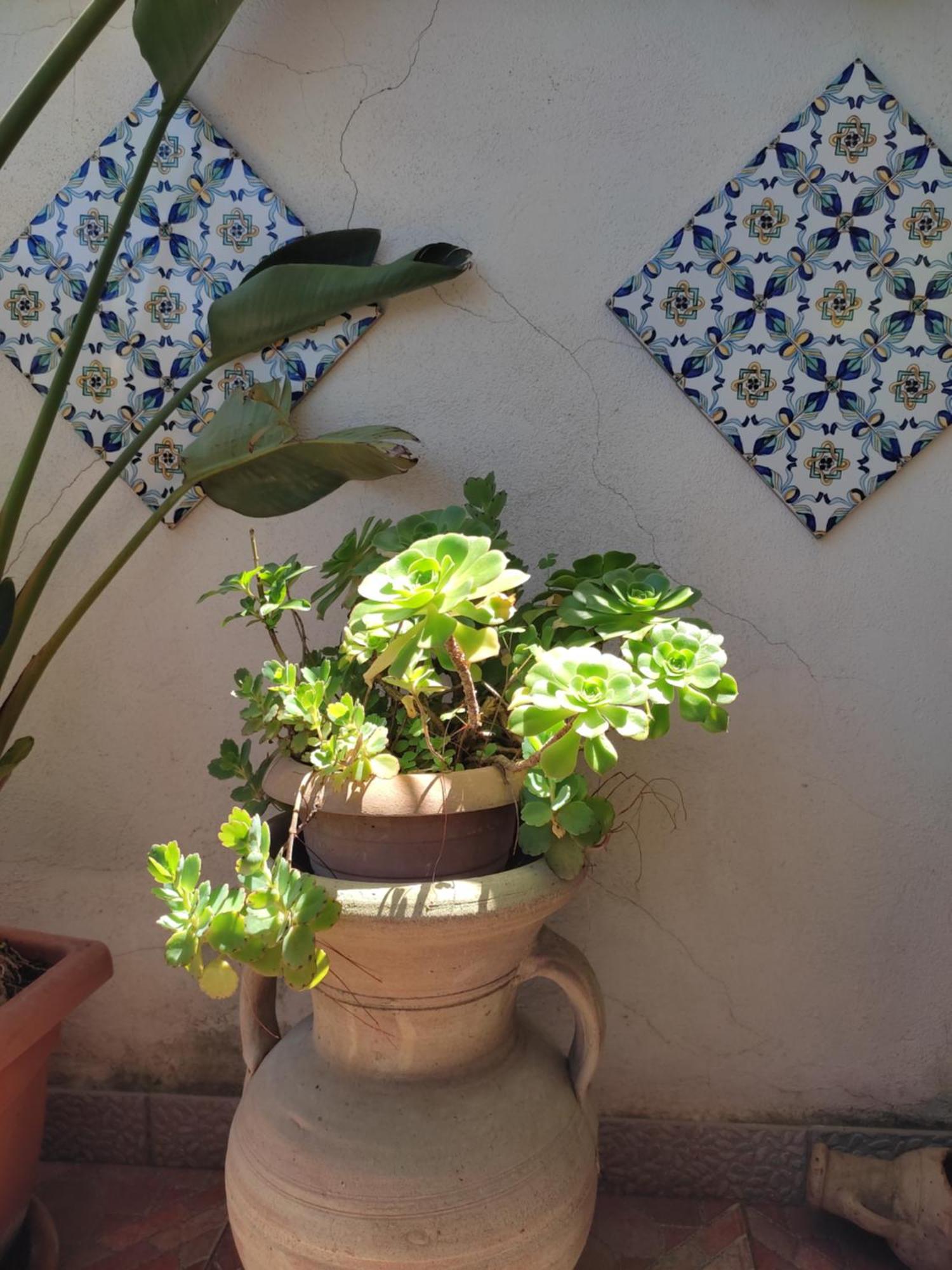 La Terrazza Di Massimo Lägenhet Palermo Exteriör bild